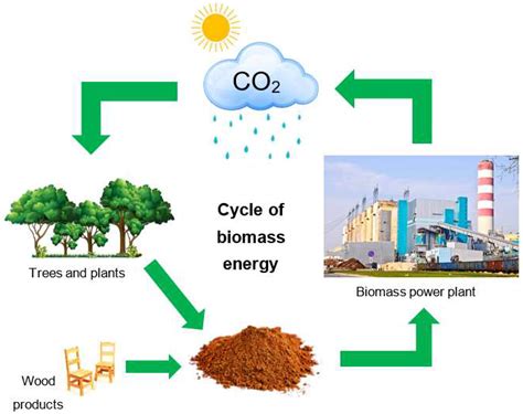  棉籽油 高品質生物燃料與可持續農業的基石！