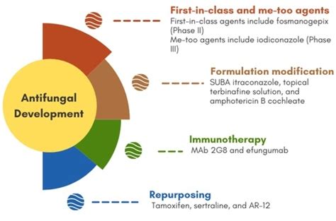  Ketoconazole 應用於抗真菌藥物開發與生物防腐劑研究！